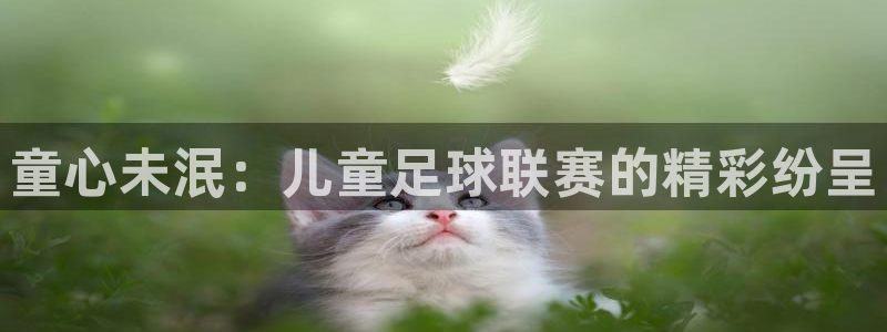 意昂4娱乐平台：童心未泯：儿童足球联赛的精彩纷呈