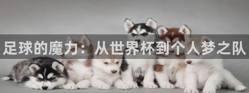 意昂4招商：足球的魔力：从世界杯到个人梦之队