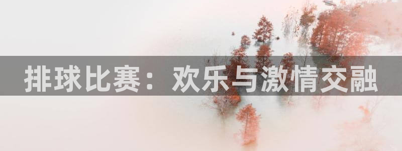 意昂4登录平台：排球比赛：欢乐与激情交融
