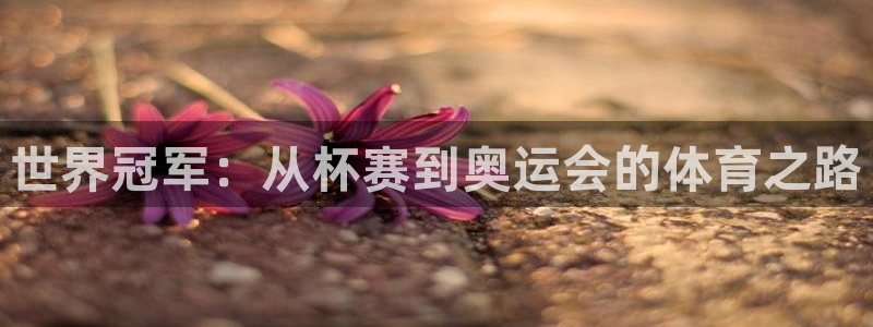 意昂4体育：世界冠军：从杯赛到奥运会的体育之路