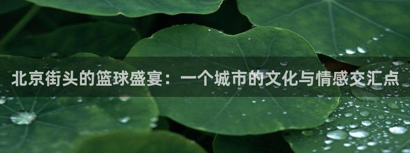 意昂4登录：北京街头的篮球盛宴：一个城市的文化与情感交汇点