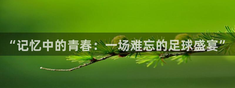 意昂4登录平台：“记忆中的青春：一场难忘的足球盛宴”