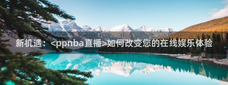 nba直播 24直播