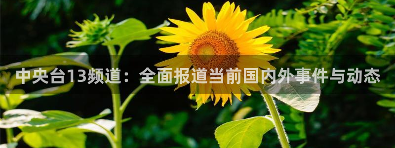 足球直播吧24直播网：中央台13频道：全面报道当前国内外事件与动态