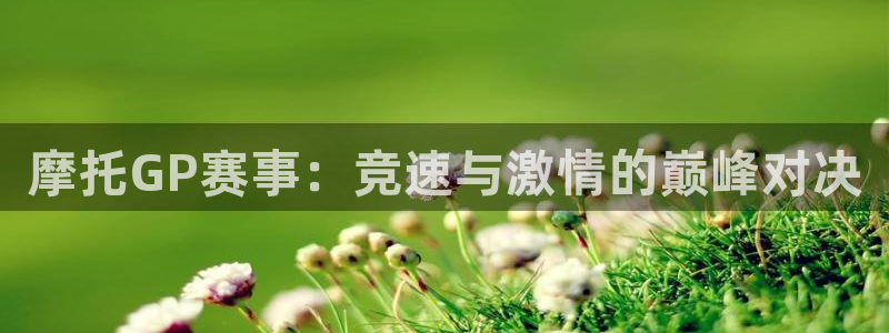 24直播网看球