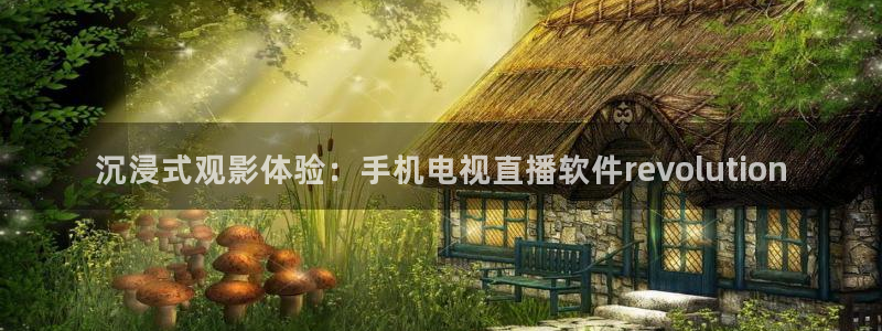 24直播足球高清完整版：沉浸式观影体验：手机电视直播软件revolution