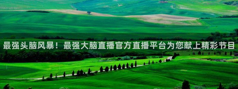 24直播网 nba直播吧：最强头脑风暴！最强大脑直播官方直播平台为您献上精彩节目