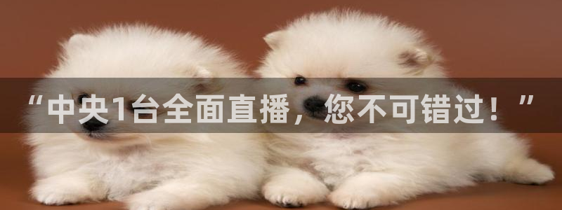 24直播网nba直播足球：“中央1台全面直播，您不可错过！”
