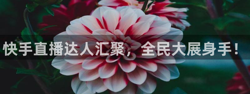 24直播网nba直播：快手直播达人汇聚，全民大展身手！