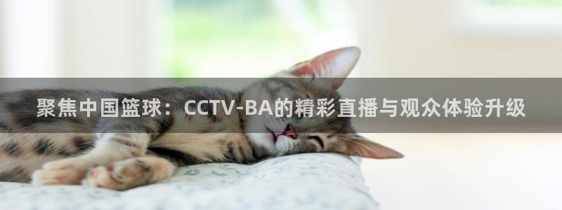 24直播 足球：聚焦中国篮球：CCTV-BA的精彩直播与观众体验升级