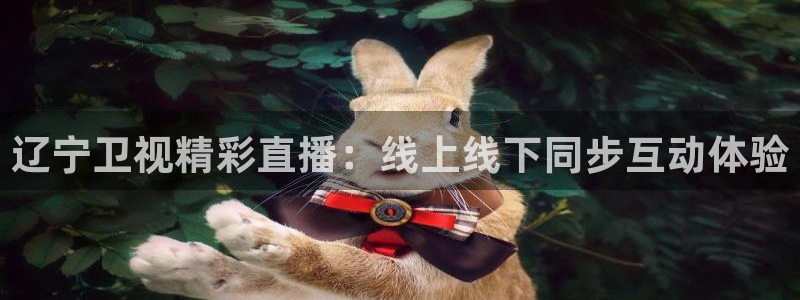 24直播网篮球：辽宁卫视精彩直播：线上线下同步互动体验