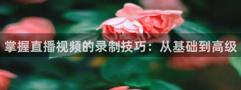 24直播网足球在线：掌握直播视频的录制技巧：从基础到高级