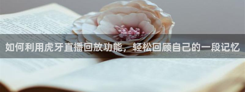 24直播网nba直播足球