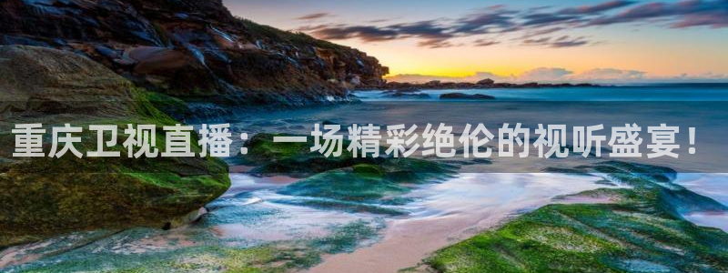 24直播吧nba直播：重庆卫视直播：一场精彩绝伦的视听盛宴！