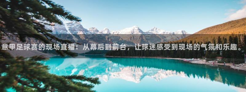 24直播网足球直播网