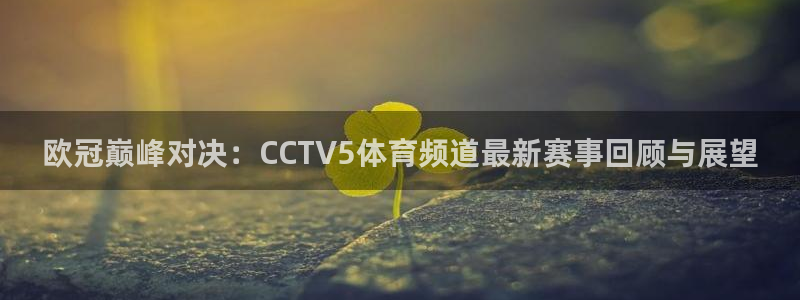 24直播网足球